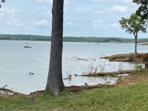 IMG_4423